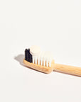 DENTISTS PROMOTION