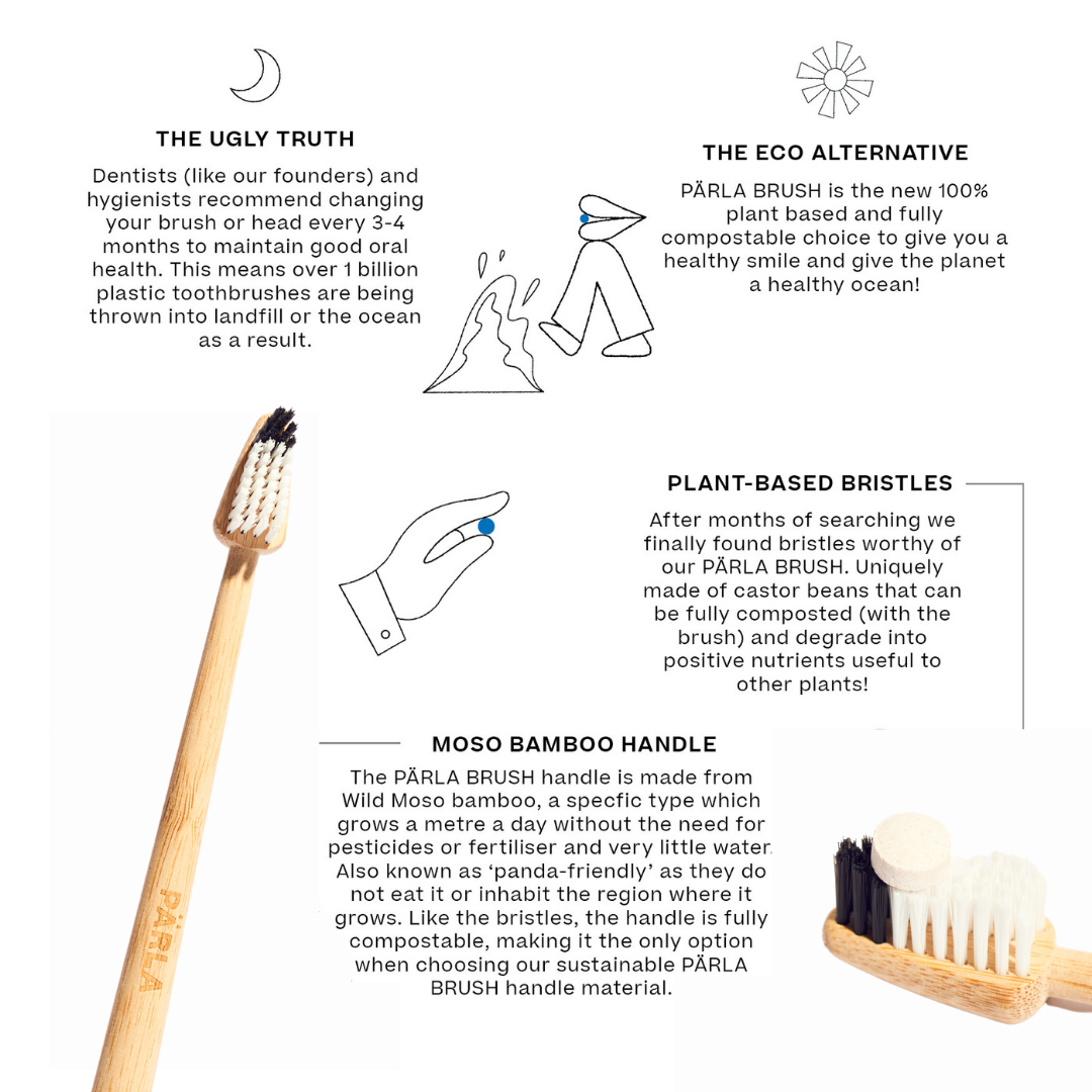 BRUSH TIKTOK