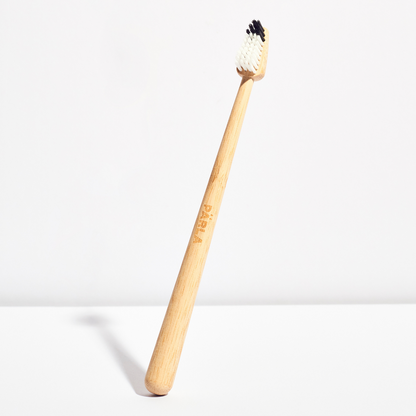 BRUSH BUNDLE